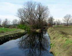 L'Olona nel Parco dei Mulini